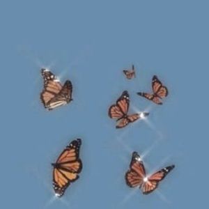 Meet your Posher, Liberty